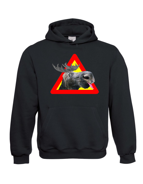 Hoodie (mit und ohne Druck)