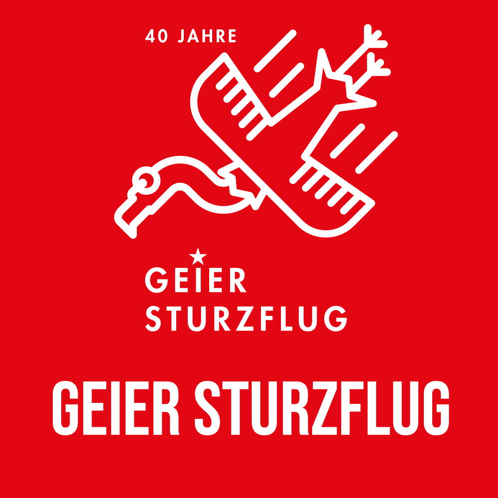 Geier-Sturzflug